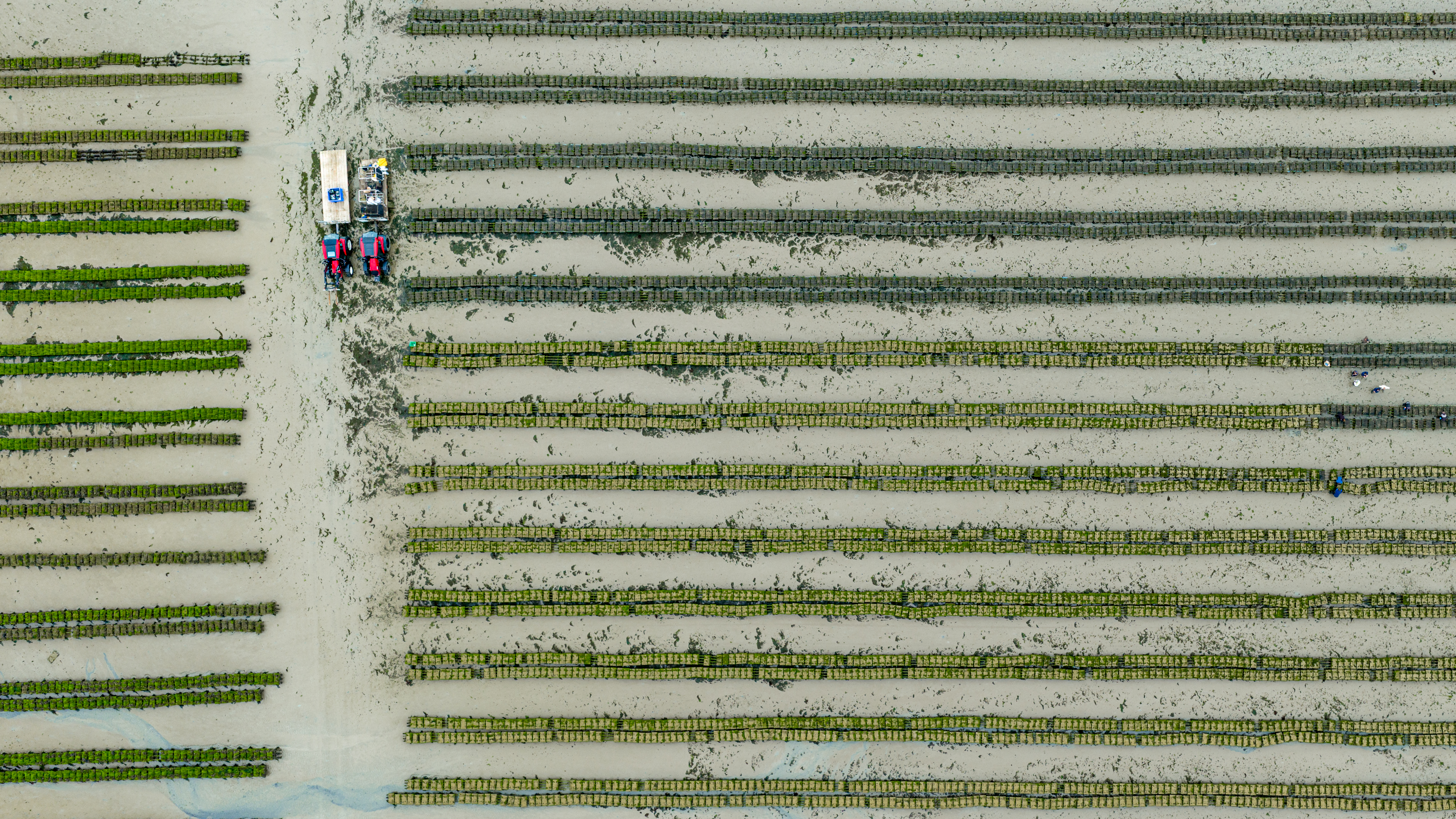 VALTRA_Testi Serie A SATMAR_TG_AGTRACKS--4.jpg