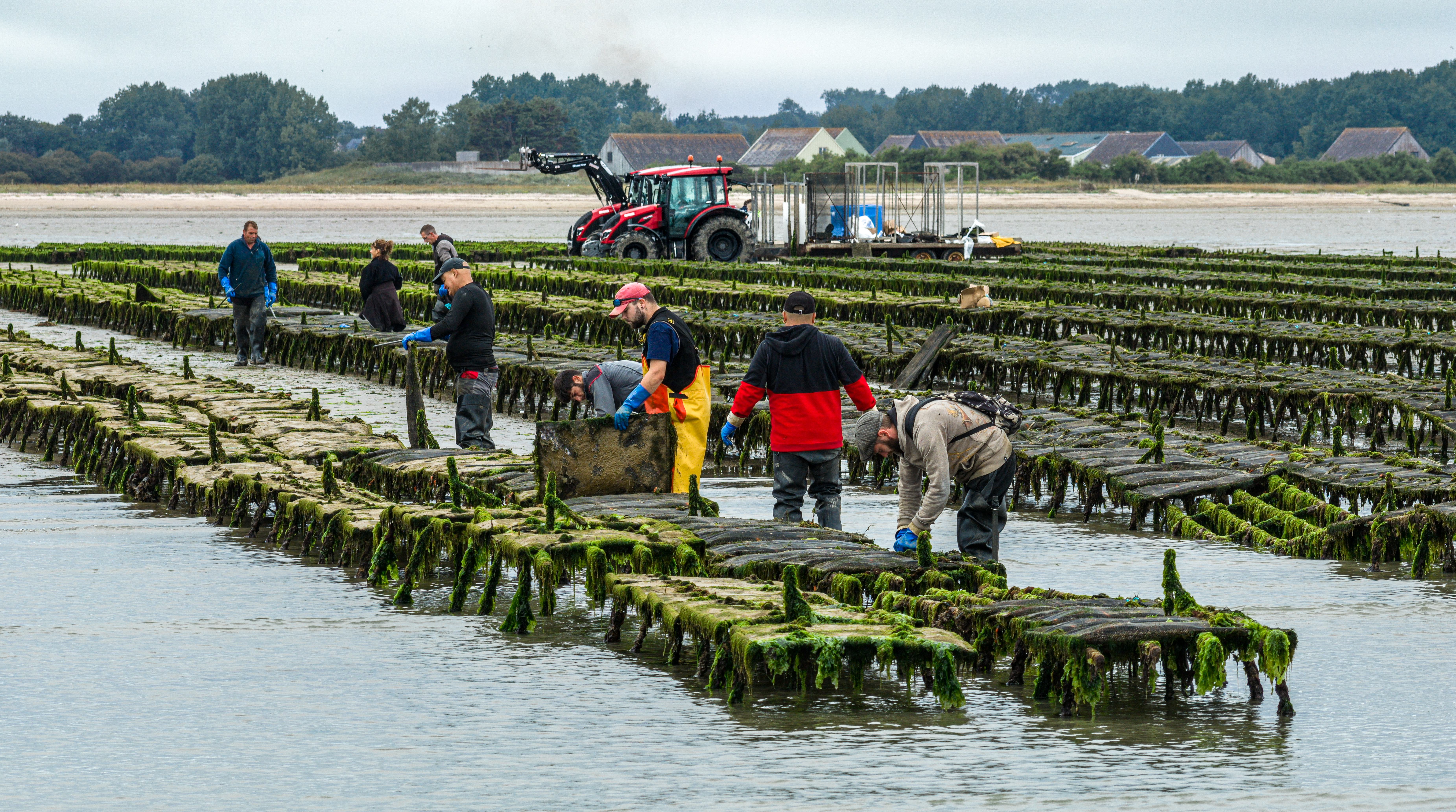 VALTRA_Testi Serie A SATMAR_TG_AGTRACKS--5.jpg